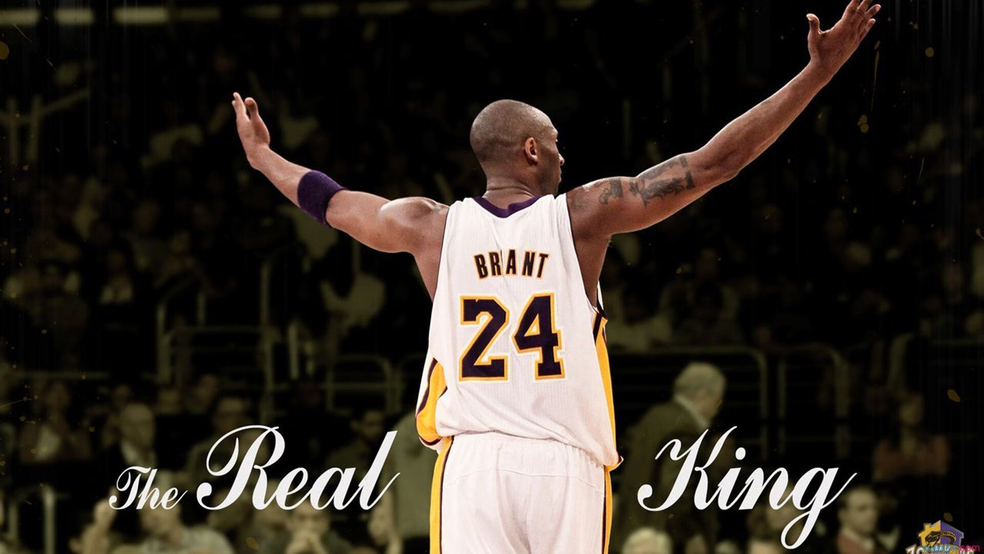 公园太极推手擂台月赛 民间高手定期过招切磋